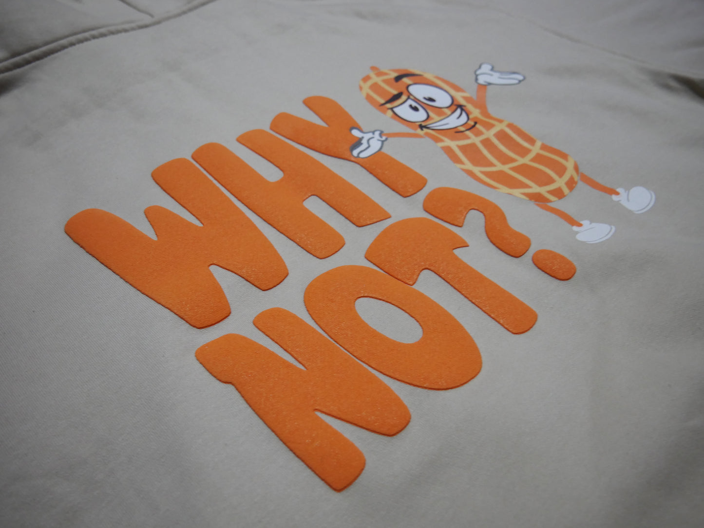 WHY NOT? HOODIE (PUFF PRINT)